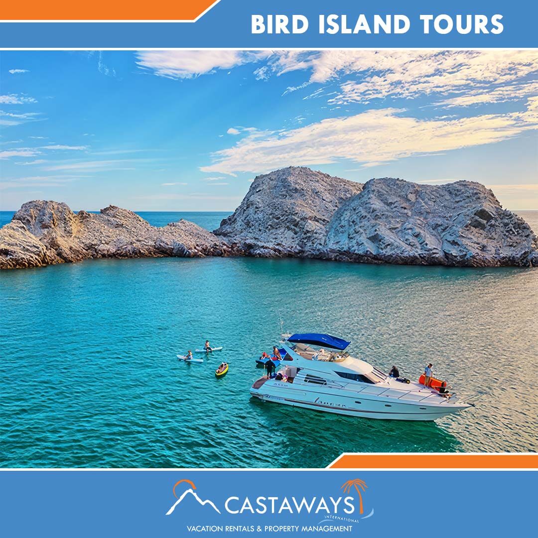 Rocky Point Things to Do - Bird Island tours, Castaways Puerto Peñasco, Mexico Arizona USA