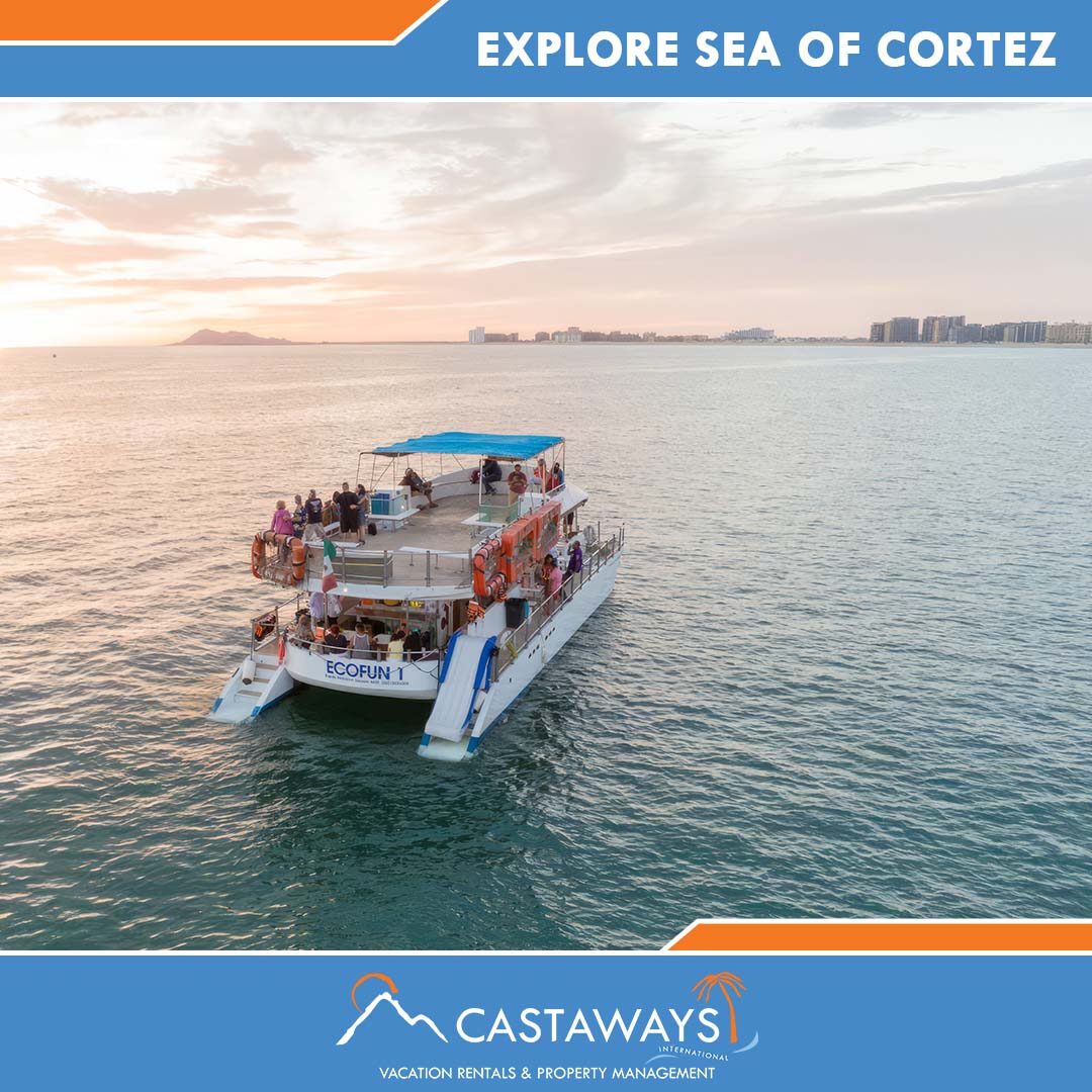 Rocky Point Things to Do - Explore Sea of Cortez, Castaways Puerto Peñasco, Mexico Arizona USA