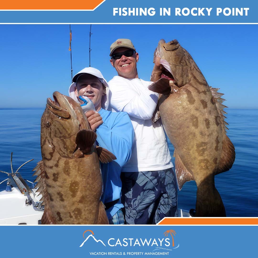 Rocky Point Things to Do - Fishing in Rocky Point, Castaways Puerto Peñasco, Mexico Arizona USA